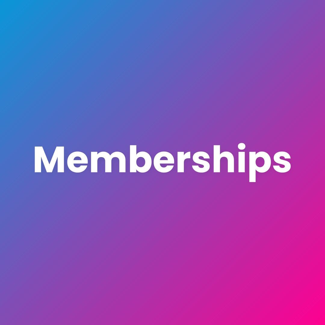 Bridge Community Member